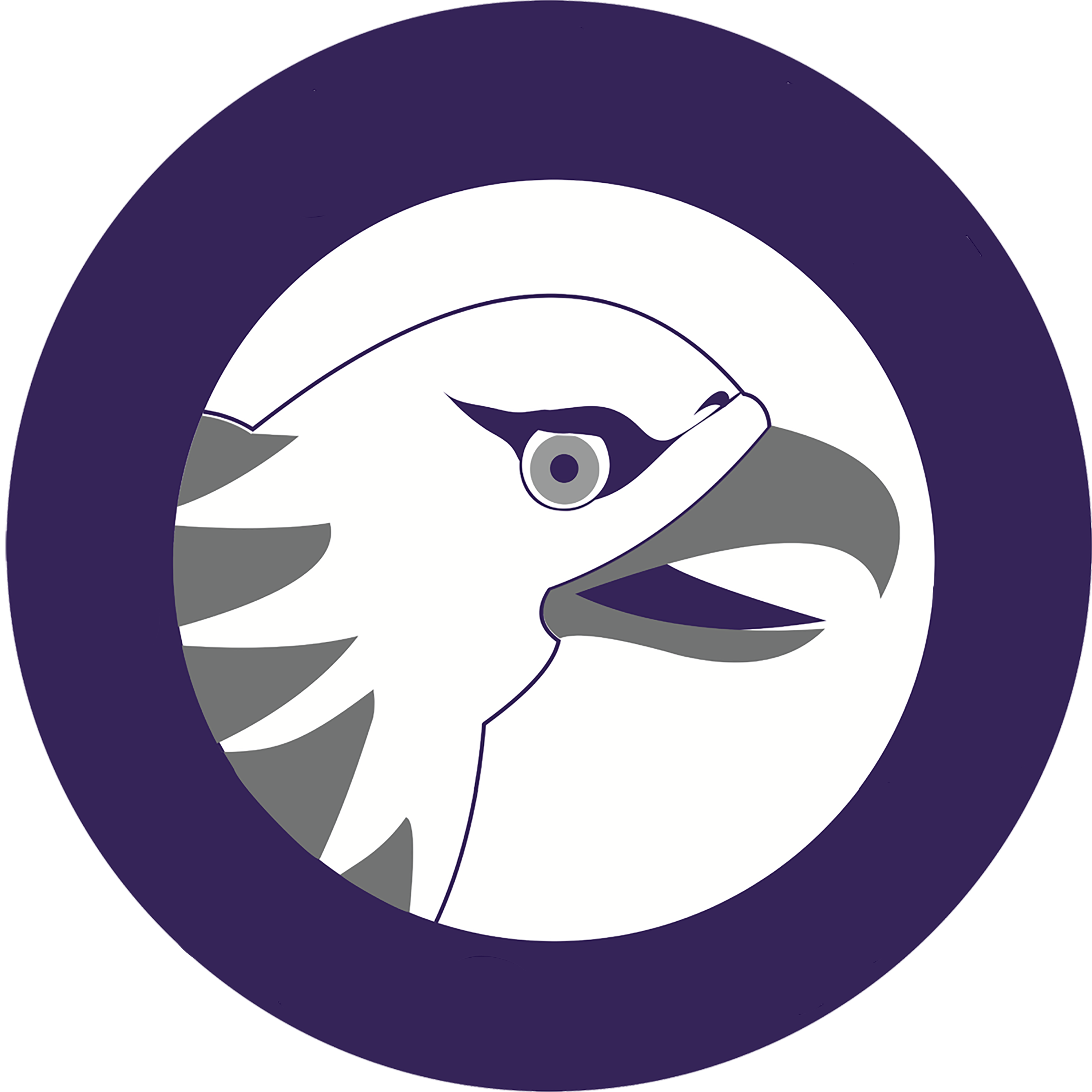 sponsor image